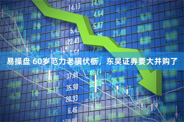 易操盘 60岁范力老骥伏枥，东吴证券要大并购了