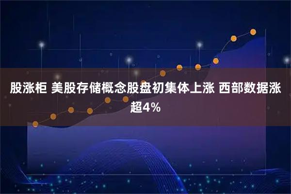 股涨柜 美股存储概念股盘初集体上涨 西部数据涨超4%