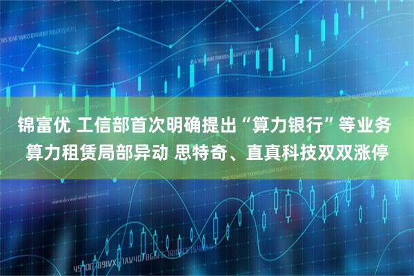 锦富优 工信部首次明确提出“算力银行”等业务 算力租赁局部异动 思特奇、直真科技双双涨停