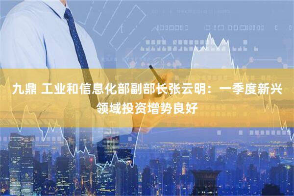 九鼎 工业和信息化部副部长张云明：一季度新兴领域投资增势良好