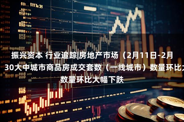振兴资本 行业追踪|房地产市场（2月11日-2月17日）：30大中城市商品房成交套数（一线城市）数量环比大幅下跌