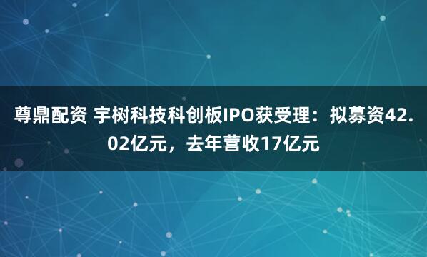 尊鼎配资 宇树科技科创板IPO获受理：拟募资42.02亿元，去年营收17亿元